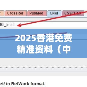 2025香港免费精准资料（中国知网文献）