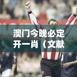 澳门今晚必定开一肖（文献引用）