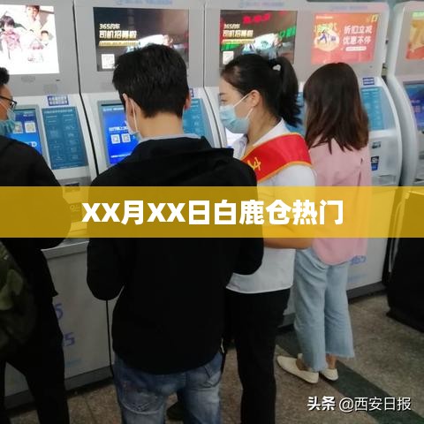 白鹿仓XX月XX日活动火爆开启