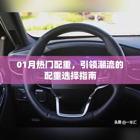 01月热门配重大盘点，潮流指南助你轻松选择！