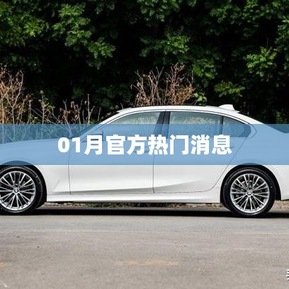最新官方消息发布，一月热门资讯速递