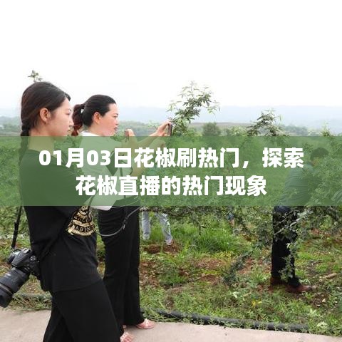 花椒直播热门现象探索，揭秘刷热门背后的秘密