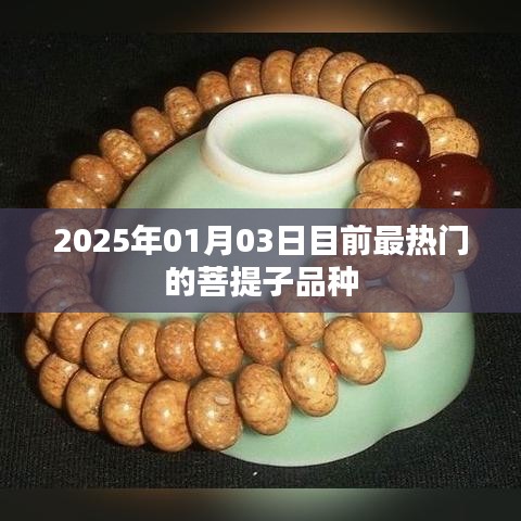 菩提子热门品种介绍，2025年最新潮流之选