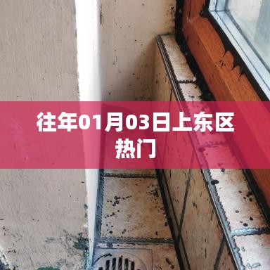 上东区历年元旦热门事件回顾