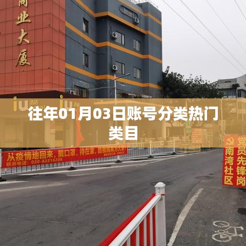 「历年账号分类热门类目解析」
