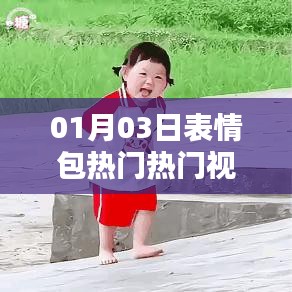 热门表情包视频素材深度解析，01月最新趋势