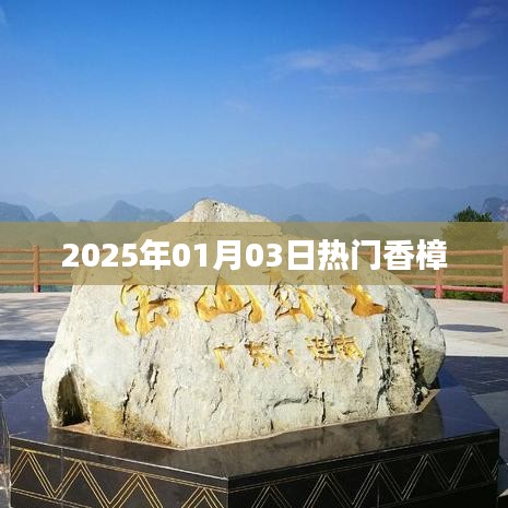 香樟资讯，2025年元旦热门香樟风采
