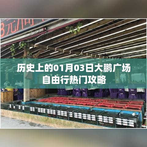 历史上的今日，大鹏广场自由行攻略指南