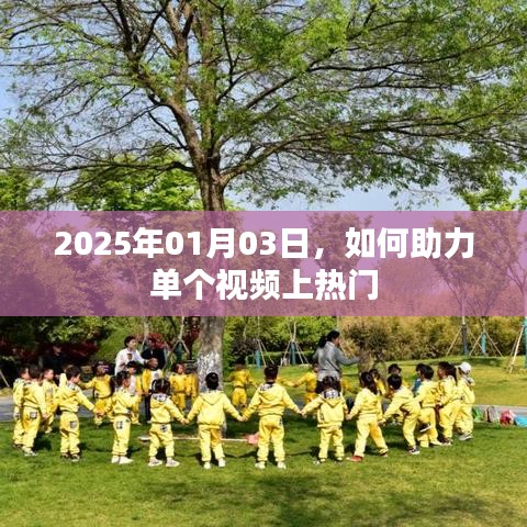 助力视频走红秘诀，如何助力单个视频上热门（2025年）