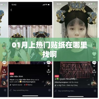 热门贴纸寻找指南，01月贴纸哪里找？