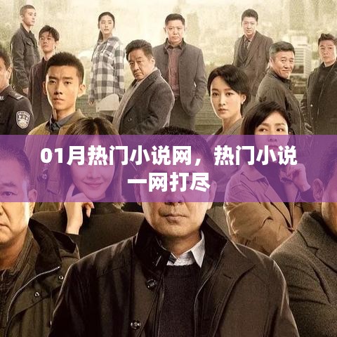 热门小说一网打尽，01月热门小说网大集结