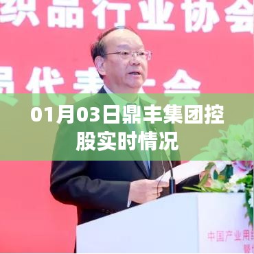 鼎丰集团控股最新动态，01月03日实时情况分析