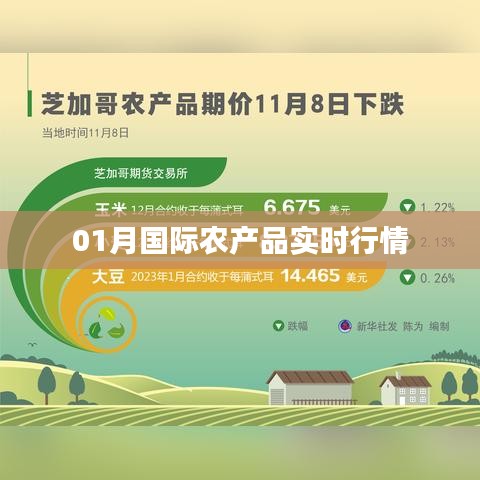 全球农产品最新实时行情分析（一月版）
