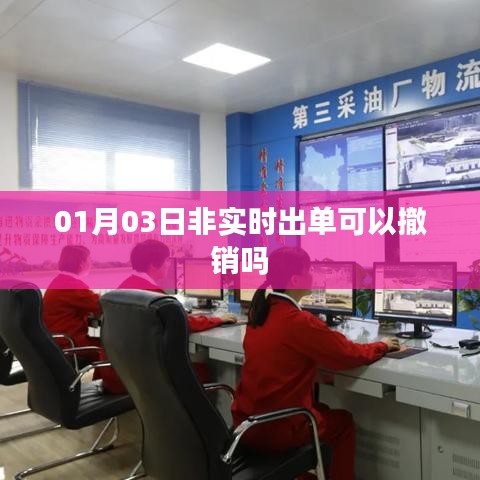 非实时出单撤销指南，操作细节与注意事项