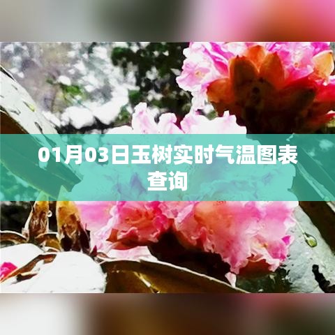 玉树实时气温图表查询（最新日期）