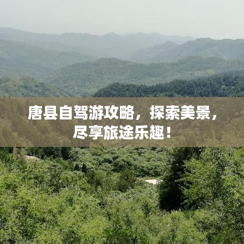 林下风范 第3页