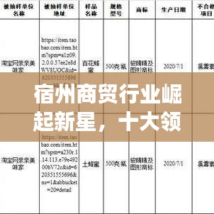 宿州商贸行业崛起新星，十大领军企业引领市场风潮