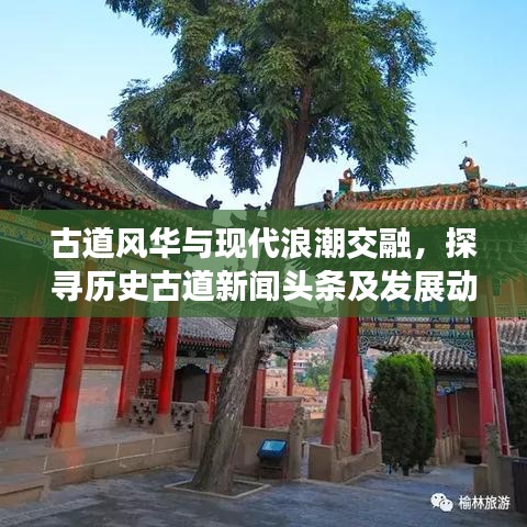 功名富贵 第3页