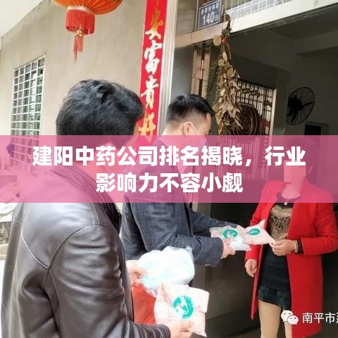 建阳中药公司排名揭晓，行业影响力不容小觑