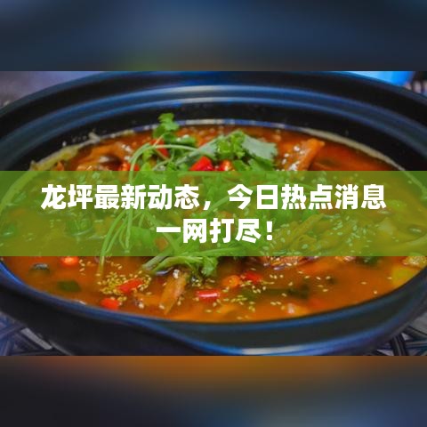 龙坪最新动态，今日热点消息一网打尽！