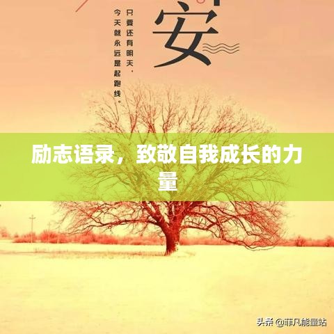 励志语录，致敬自我成长的力量