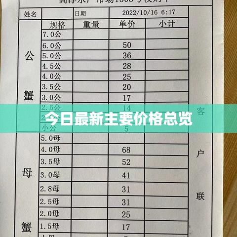 今日最新主要价格总览