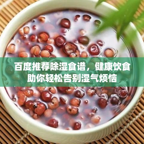 百度推荐除湿食谱，健康饮食助你轻松告别湿气烦恼