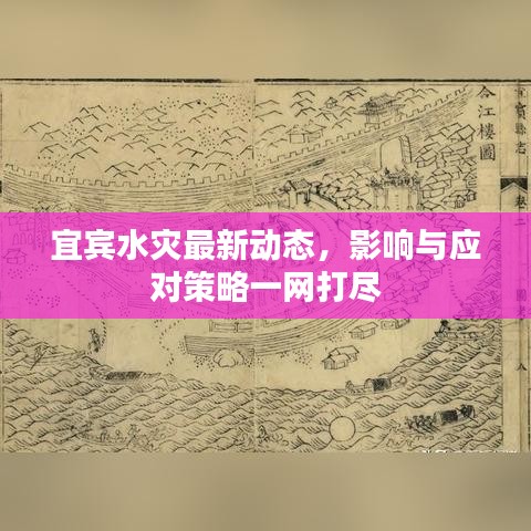 宜宾水灾最新动态，影响与应对策略一网打尽