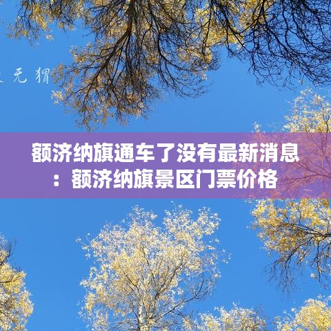 额济纳旗通车了没有最新消息：额济纳旗景区门票价格 