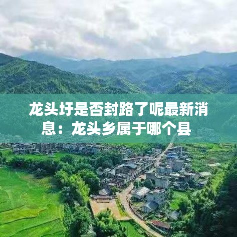 龙头圩是否封路了呢最新消息：龙头乡属于哪个县 