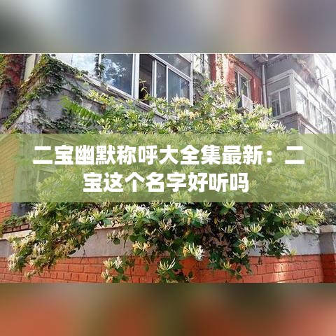 二宝幽默称呼大全集最新：二宝这个名字好听吗 