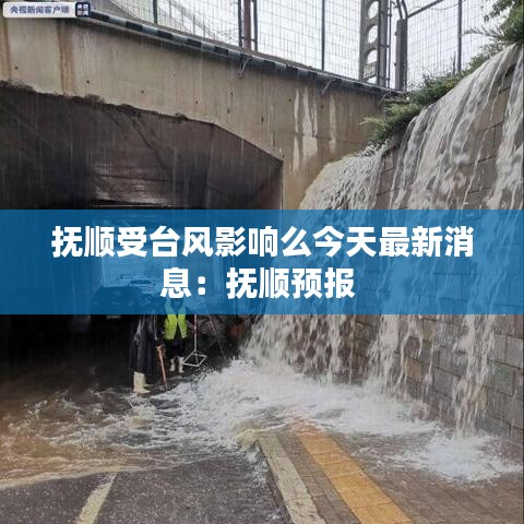 抚顺受台风影响么今天最新消息：抚顺预报 