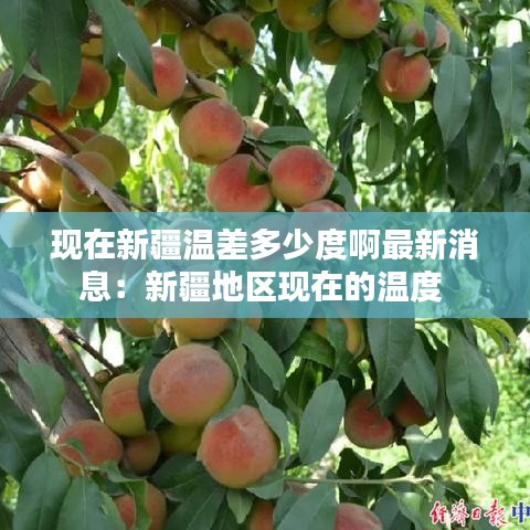 现在新疆温差多少度啊最新消息：新疆地区现在的温度 