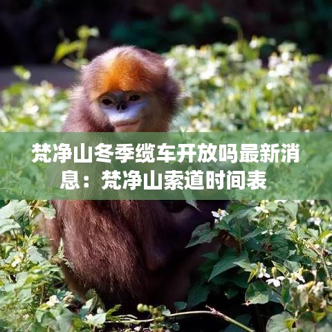 梵净山冬季缆车开放吗最新消息：梵净山索道时间表 