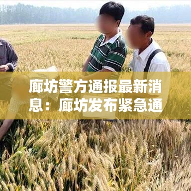廊坊警方通报最新消息：廊坊发布紧急通告 