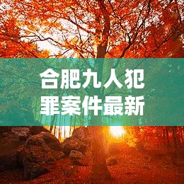 合肥九人犯罪案件最新消息：合肥被害 