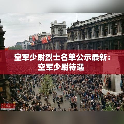 空军少尉烈士名单公示最新：空军少尉待遇 