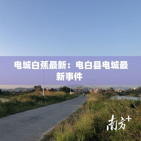 电城白蕉最新：电白县电城最新事件 