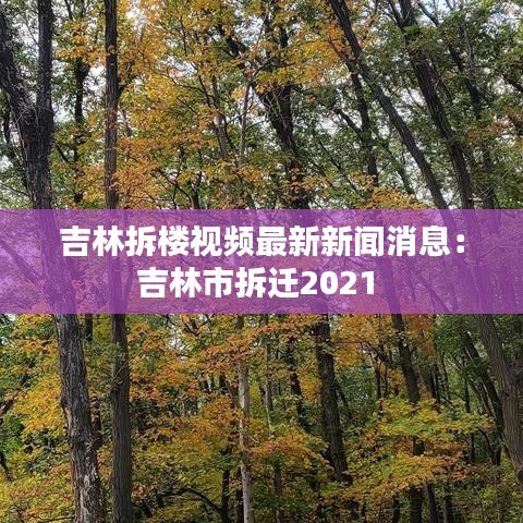 将错就错 第3页