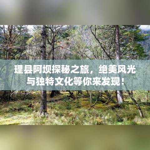 理县阿坝探秘之旅，绝美风光与独特文化等你来发现！