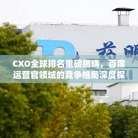 CXO全球排名重磅揭晓，首席运营官领域的竞争格局深度探究