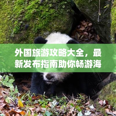 外国旅游攻略大全，最新发布指南助你畅游海外