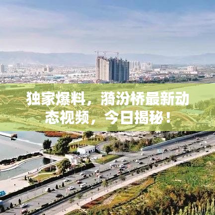 独家爆料，漪汾桥最新动态视频，今日揭秘！
