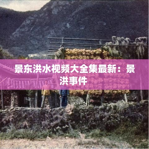 景东洪水视频大全集最新：景洪事件 