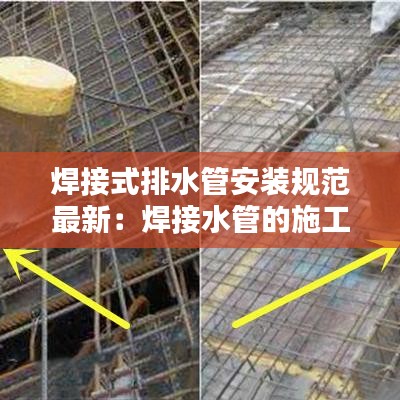 虎背熊腰 第2页