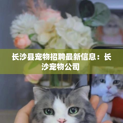 长沙县宠物招聘最新信息：长沙宠物公司 