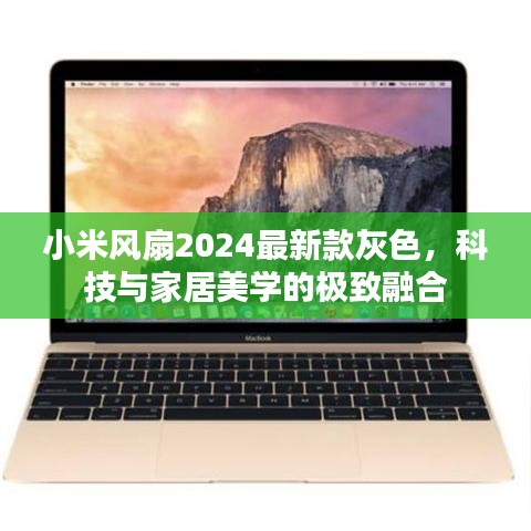 小米风扇2024最新款灰色，科技与家居美学的极致融合