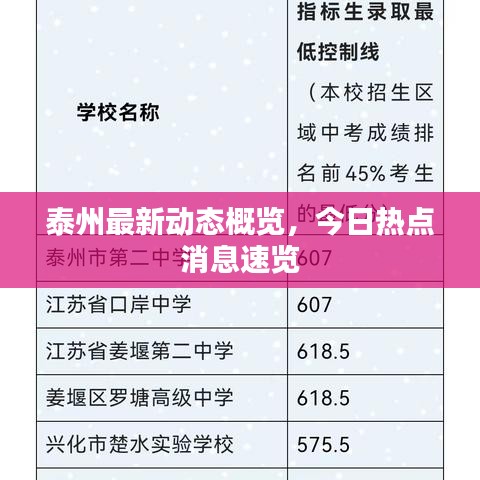 泰州最新动态概览，今日热点消息速览