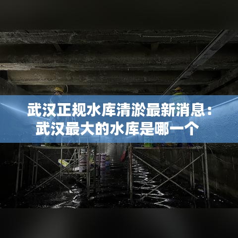 武汉正规水库清淤最新消息：武汉最大的水库是哪一个 