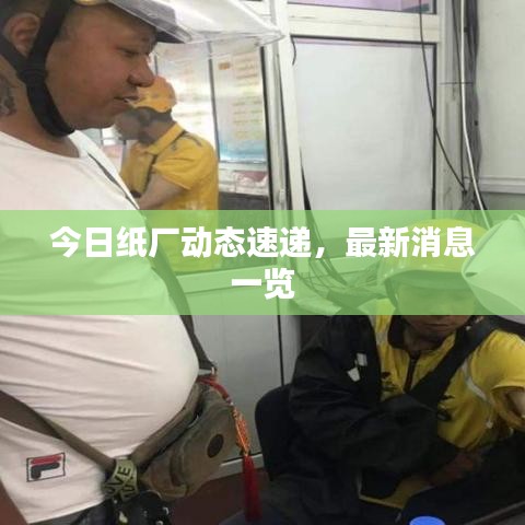 今日纸厂动态速递，最新消息一览